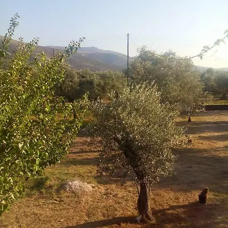 Διαμέρισμα Vlachogiannis El Estate Σκάλα Ραχωνίου