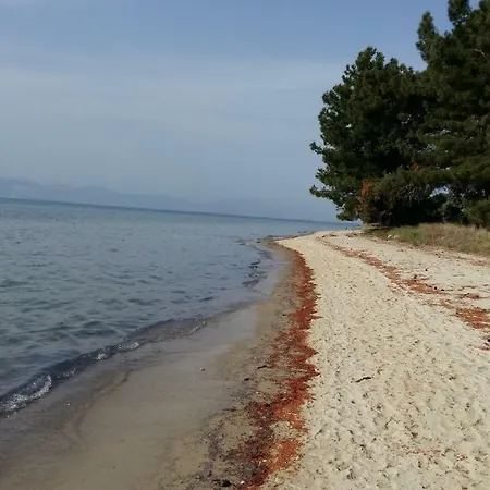 Vlachogiannis El Estate Skala Rachoni (Thasos)