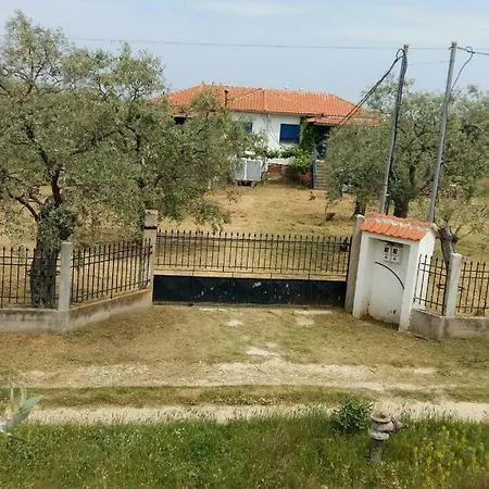 Daire Vlachogiannis El Estate *